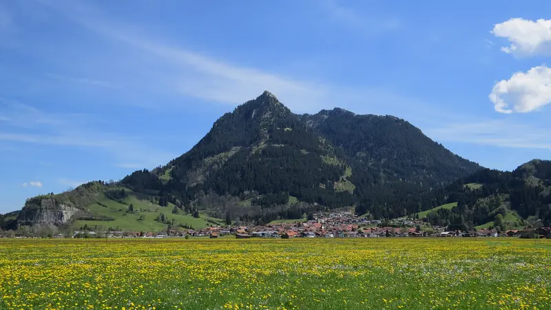 Burgberg im Allgäu von Südwesten vor dem Grünten, im Vordergrund eine blühende Löwenzahnwiese