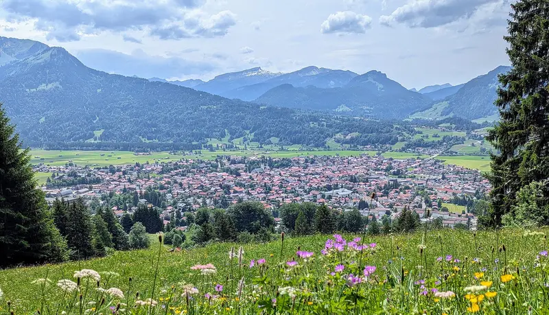 Blick vom Wallrafweg über eine Blumenwiese auf Oberstdorf im Illertal, dahinter die Allgäuer Alpen